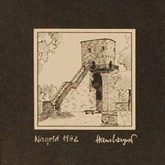 Ruine Hohennagold 82/I